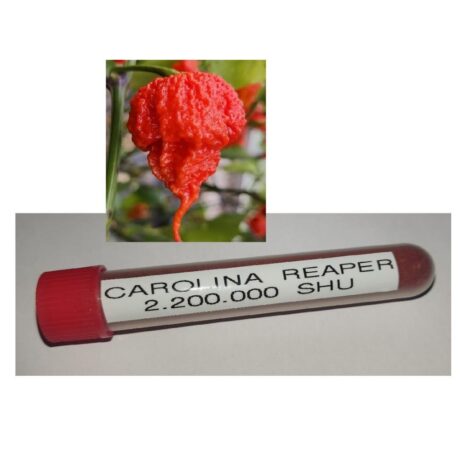 Carolina Reaper